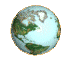 Bearded Collie Globe